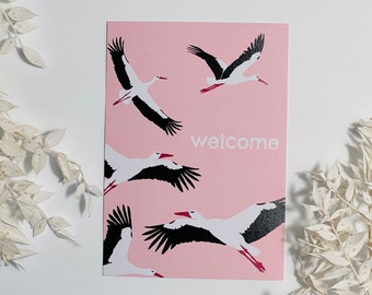 Birth Stork Baby Welcome Welcome Congratulations Postcard Set Girl Boy Boy Girl Party Gender Modern Pregnancy