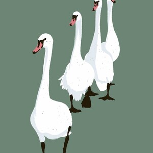 Puede incluir: Cuatro cisnes blancos con patas y picos negros est&aacute;n de pie en fila sobre un fondo verde. Los cisnes miran en diferentes direcciones.