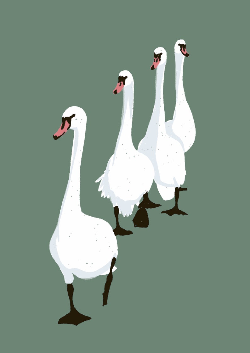 Puede incluir: Cuatro cisnes blancos con patas y picos negros est&aacute;n de pie en fila sobre un fondo verde. Los cisnes miran en diferentes direcciones.