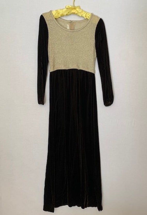 Brown Velvet & Gold Vintage Dress - image 2