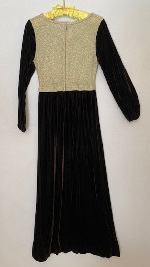 Brown Velvet & Gold Vintage Dress - image 4