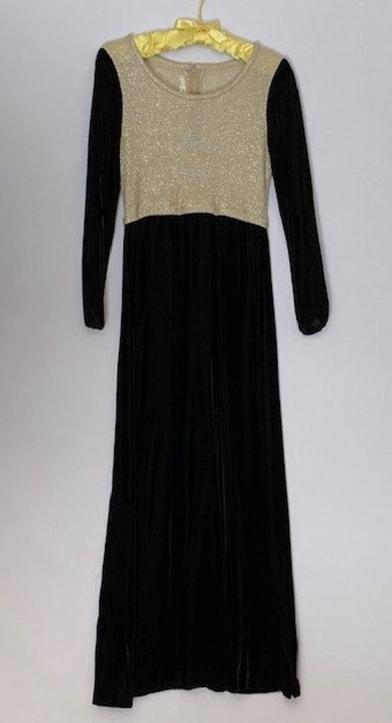 Brown Velvet & Gold Vintage Dress - image 1