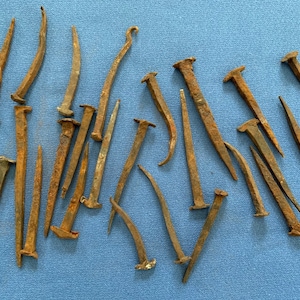 May include: A collection of antique, rusty nails of various sizes and shapes. Some nails are straight, while others are bent or curved. The nails have a weathered, aged appearance, with a brown and orange color. The background is a solid blue.