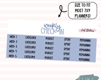 July 2025 Weekly Budget Check-In Stickers for Planners – Expense Tracking, Financial Organization, Budgeting Tools, Weekly Budgeting