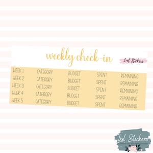 2024 juni Wekelijkse check-in, maandbudgetten, budgetstickers, EC-plannerstickers
