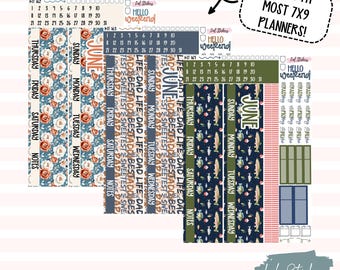 June 2025 Monthly View Stickers for Planners – Expense Tracking, Planning, Organization Tool