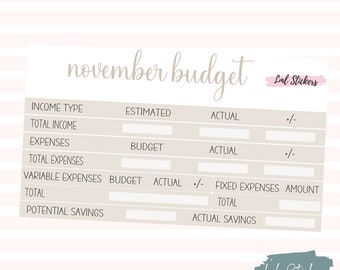2024 November Budget Stickers, EC Planner Stickers, Monthly Low income Budgeting, Expense and Income Tracking