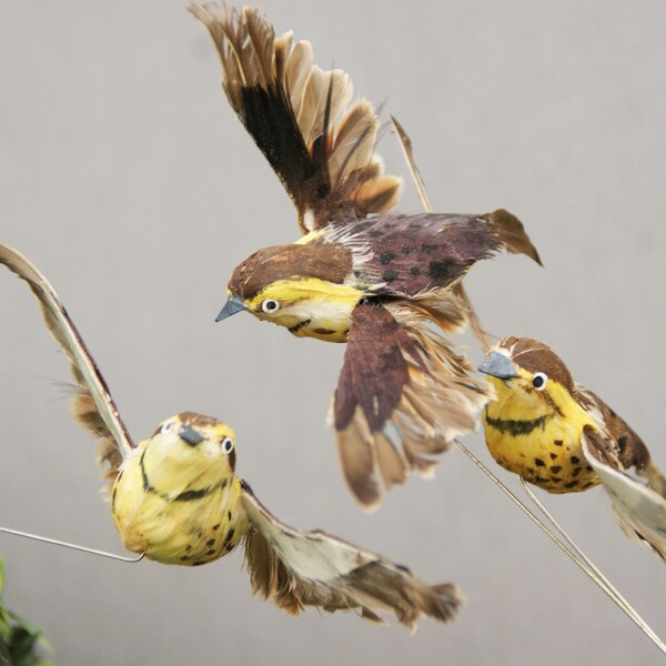 Vogels op draad Vogel, Vintage, Echte veren, Bloem stud, Krans binding, Decoratie vogel, Hoed sieraden, Bloemisterij