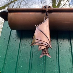 Gutter bat, hanging asleep image 2