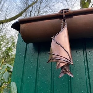 Gutter bat, hanging sleeping