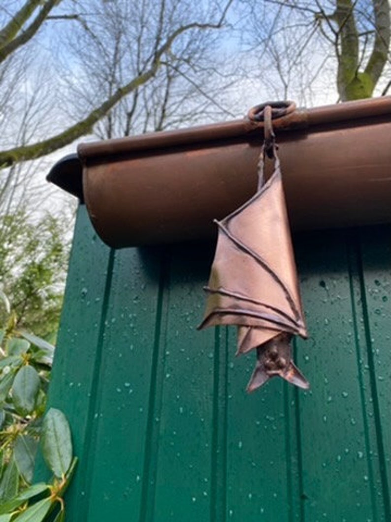 Gutter bat, hanging asleep image 1