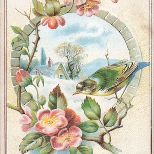 May include: A vintage illustration of a bird perched on a branch of a flowering bush. The bird is green and yellow with a white spot on its head. The bush has pink flowers and green leaves. The background is a snowy landscape with a small house in the distance.