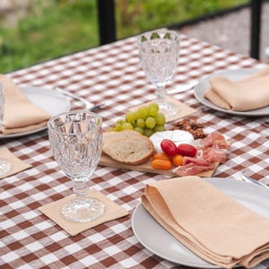 May include: A brown and white checkered tablecloth with a plate of food, a glass of water, and a napkin. The food includes grapes, bread, cheese, tomatoes, and prosciutto.