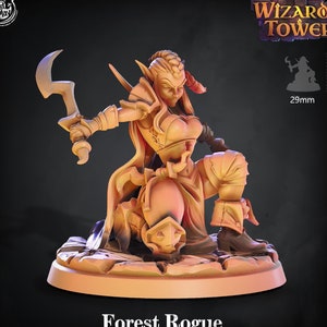 Forest Rogue - Female Elf - Hero RPG Mini - Wizard&#39;s Tower - 3d 28mm  Miniatures for Tabletop Gaming - Dragons (DnD, D&D) by CastNPlay