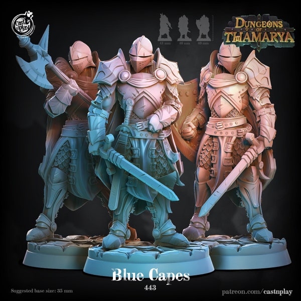 Knights - Armored Blue Capes - 3d Printed Mini Dungeons of Thamarya - 28mm Miniatures for Tabletop Gaming - Dragons (DnD, D&D) by CastNPlay