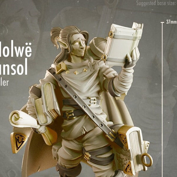Masse Nolwe - Mansol Book Seller - 28mm  Miniatures for Tabletop Gaming (DnD, D&D, ) by CastNPlay
