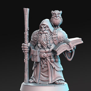 Dramnir - Dwarf Wizard with Owl - Male - 32mm - 28mm Miniatures for Tabletop Gaming (DnD, D&D,  ) by RN Estudio