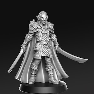 Evendil - Gennala - Elf - 32mm - 28mm Miniatures for Tabletop Gaming (DnD, D&D,  ) by RN Estudio