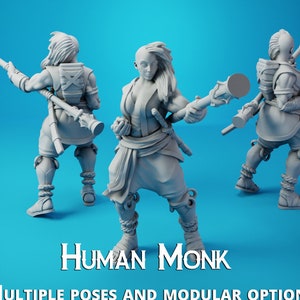Human Monk - Female - Carren Pirates - 32mm| 28mm Miniatures for Tabletop Gaming (DnD, D&D,  ) by Arcane Minis