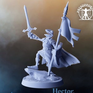 May include: A grey 3D printed miniature of a frog-like creature holding a sword and a flag. The creature is wearing armour and a cape. The miniature is standing on a rock base. The text "Hector, The Grung Paladin" is printed below the miniature.