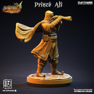 Prince of the Indies - Prince Ali- 28mm - 32 mm- Dungeons and Dragons Miniatures (DnD, D&D, Tabletop Miniature, Painting) by ClayCyanide
