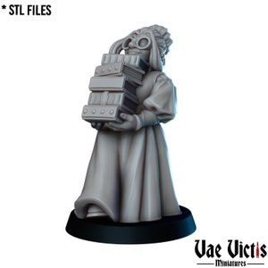 Dwarf Librarian - Female Dwarven - Scholar - RPG - 28mm - 32mm Mini Miniatures for Tabletop Gaming (DnD, D&D) by Vae Victis