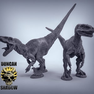 Velociraptors - Dinosaur Set  - 28mm - 32mm Miniatures for Tabletop Gaming (DnD, D&D) by Duncan Shadow