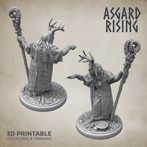 Viking Druid - Hofgothi - 28mm Miniatures for Dungeons and Dragons (DnD, D&D, Wargame, ) by Asgard Rising
