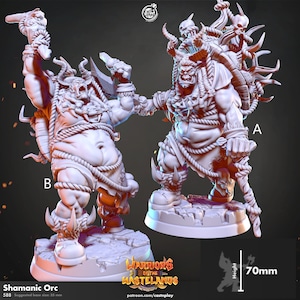 Shamanic Orc - Shaman - Warriors of the Wastelands - 28mm Miniatures for Tabletop Gaming (DnD, D&D, Pathfinder) by CastnPlay - Cast N Play