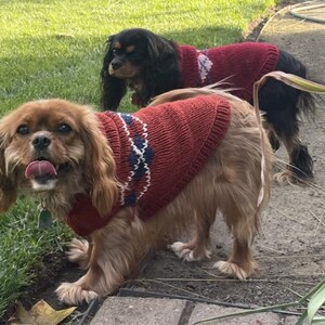 Suéter personalizado con diseño de rombos para perros