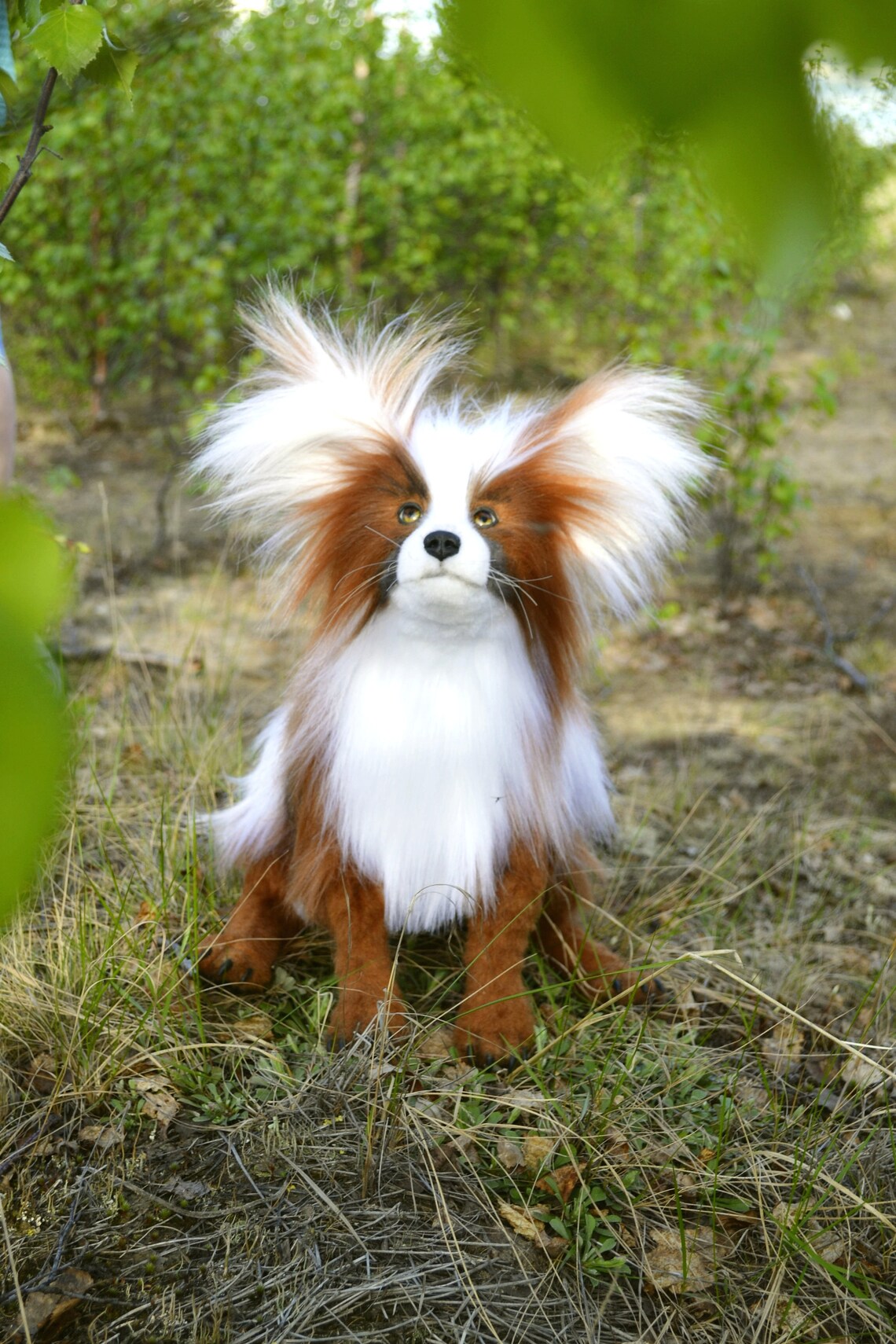 FOR EXAMPLE. Custom Plush Toy Dog Papillon Jacquelin Soft | Etsy