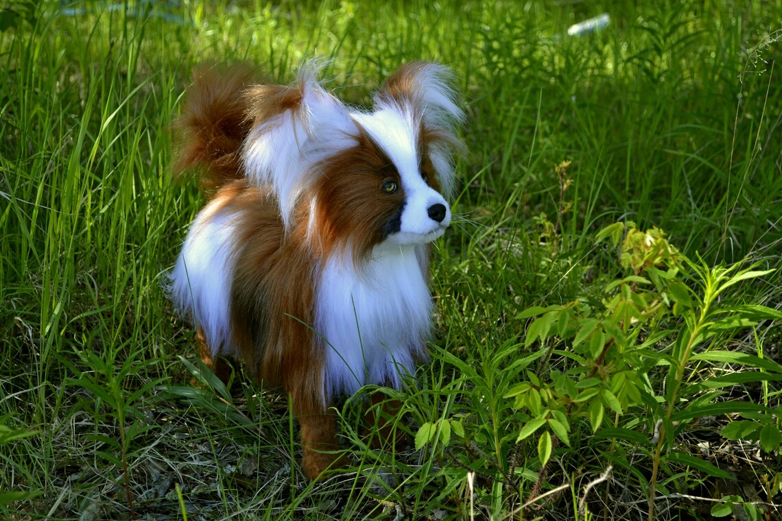 FOR EXAMPLE. Custom Plush Toy Dog Papillon Jacquelin Soft | Etsy