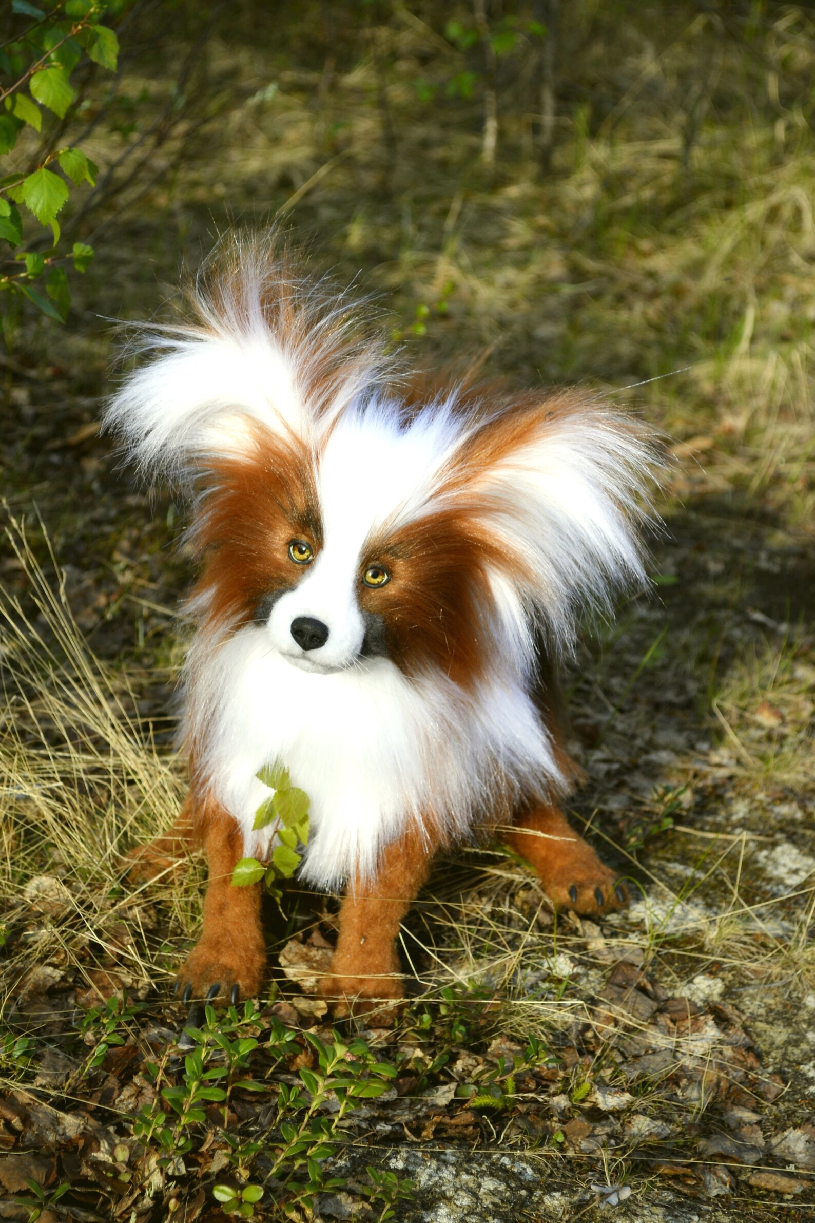 FOR EXAMPLE. Custom plush toy dog papillon Jacquelin soft | Etsy