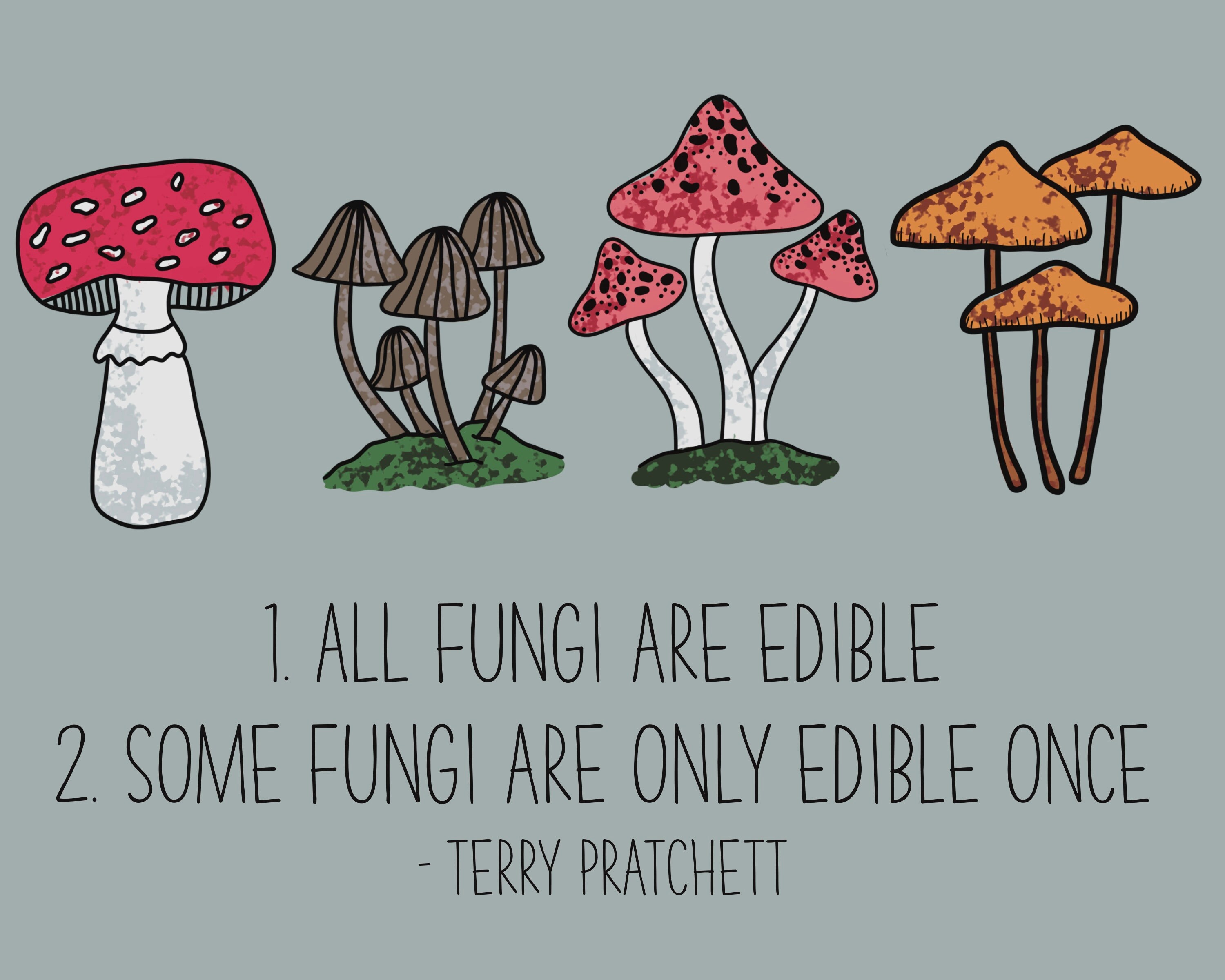 25 Mushroom Stamps for Procreate Procreate Stamps Procreate | Etsy