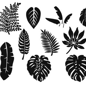 10 hand-drawn tropical leaf stamps for the procreate app. digital download only
