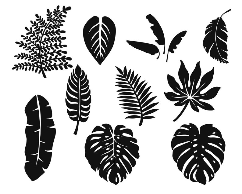 10 hand-drawn tropical leaf stamps for the procreate app. digital download only