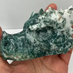 Moss Agate Dragon Head, Crystal Dragon, Dragon Crystal, Moss Agate, Dragon Skull, Dragon Head Crystal, Dragon Crystal Skull (H)