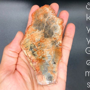 Petrified Wood Slice, Agatized Wood, Petrified Wood Stone, Petrified Wood Slab, Mineral Specimen, Fossilized Wood (7)