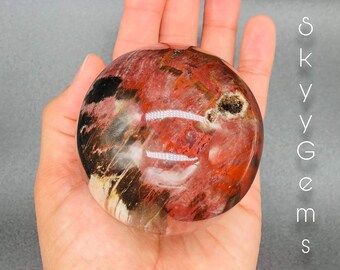 Petrified Wood, Fossilized Wood, Crystal Ball, Petrified Wood Sphere (W5)