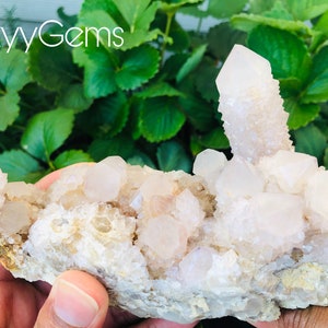 Spirit Quartz, Cactus Quartz, Fairy Quartz, Amethyst Spirit Quartz