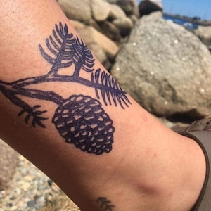 May include: A dark blue temporary tattoo of a pine cone and branch on a person's skin. The tattoo is detailed with fine lines, and the skin tone is light brown. The background shows rocks and a sandal.