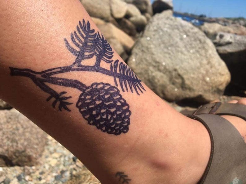 May include: A dark blue temporary tattoo of a pine cone and branch on a person's skin. The tattoo is detailed with fine lines, and the skin tone is light brown. The background shows rocks and a sandal.