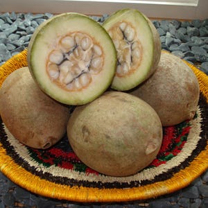 May include: A collection of bael fruits, some whole and some halved, displayed on a decorative woven plate. The halved fruit reveals a creamy interior with numerous seeds. The plate has a yellow, black, and red pattern. The fruits have a light brown exterior.