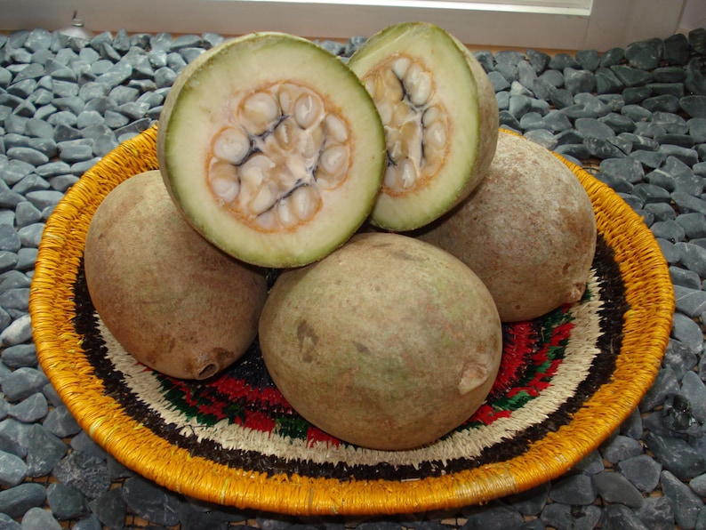 May include: A collection of bael fruits, some whole and some halved, displayed on a decorative woven plate. The halved fruit reveals a creamy interior with numerous seeds. The plate has a yellow, black, and red pattern. The fruits have a light brown exterior.