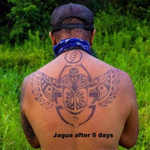 May include: A person's back with a large, intricate black tattoo featuring a central scarab beetle design with stylized wings. The text "Jagua after 6 days" is visible below the tattoo. The person is wearing a black cap and a blue bandana.