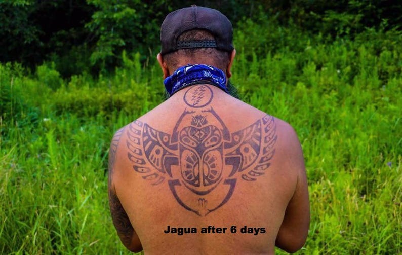 May include: A person's back with a large, intricate black tattoo featuring a central scarab beetle design with stylized wings. The text "Jagua after 6 days" is visible below the tattoo. The person is wearing a black cap and a blue bandana.