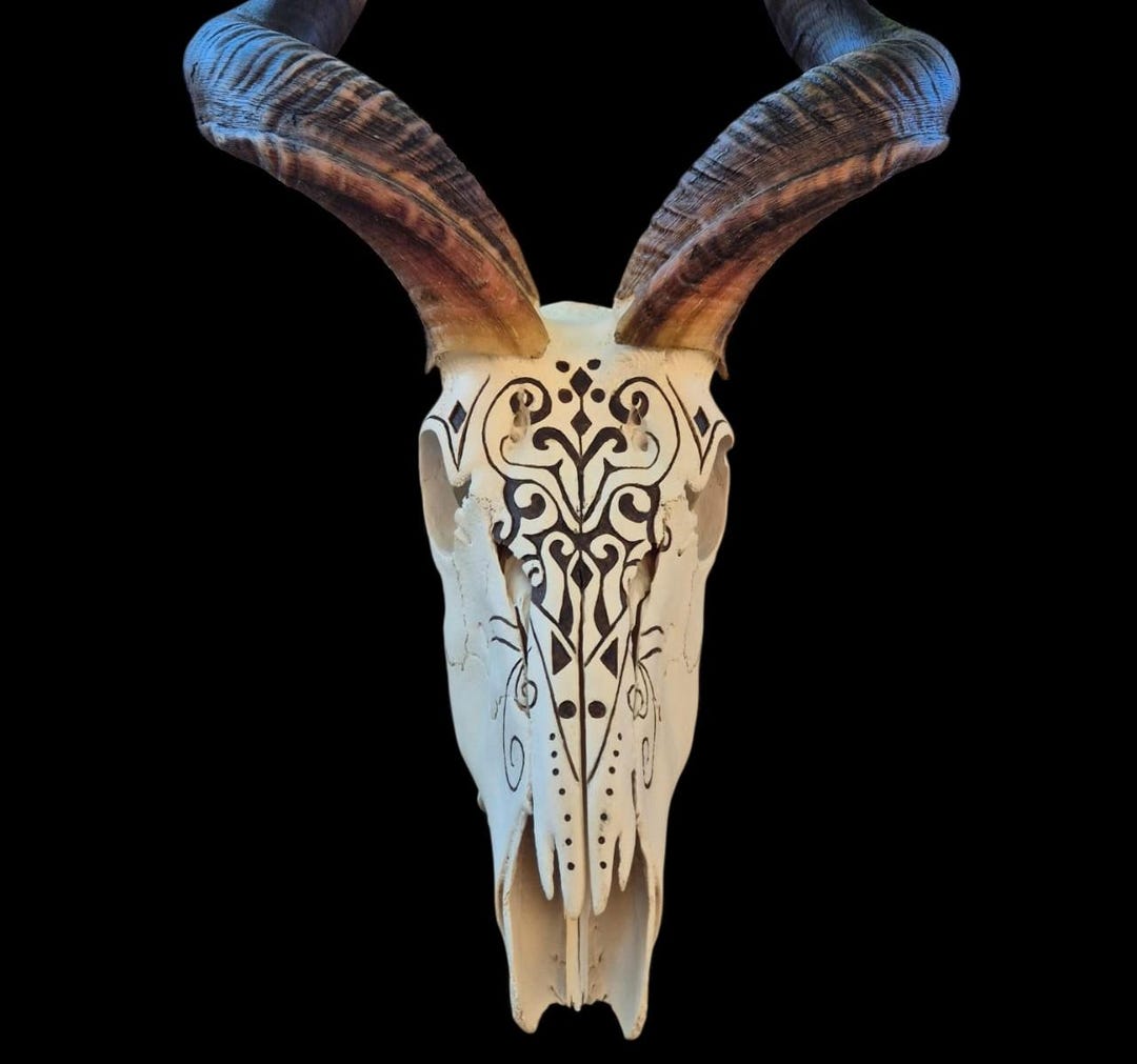 kudu-skull-wall-art-wild-africa-decor-safari-adventure-aesthetic