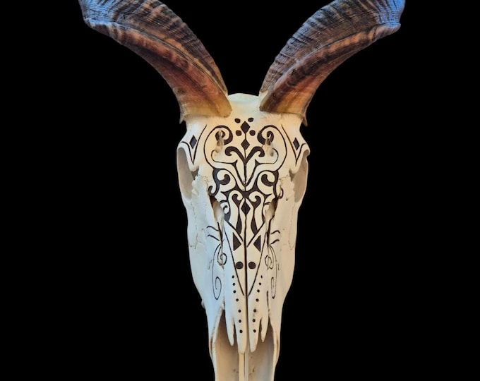 Featured listing image: Kudu Skull Wall Art | Wild Africa Decor | Safari Adventure Aesthetic | Tribal Horn Art | Ethical Skull Mount for Collectors
