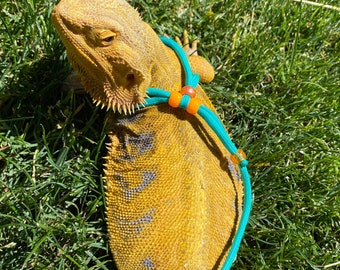 May include: A yellow bearded dragon wearing a teal harness with orange and brown beads, resting on green grass. The reptile's skin has a textured appearance with dark spots. The harness is designed for small pets.