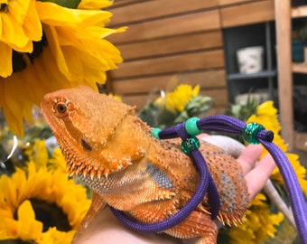 May include: A close-up of an orange bearded dragon wearing a purple leash with green beads. The dragon is sitting on a person's arm, with a bouquet of sunflowers in the background.